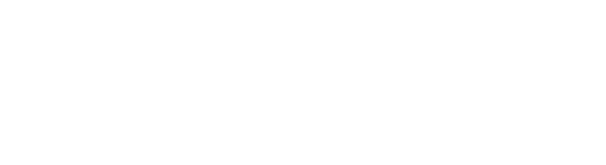 ZDZIŚ24